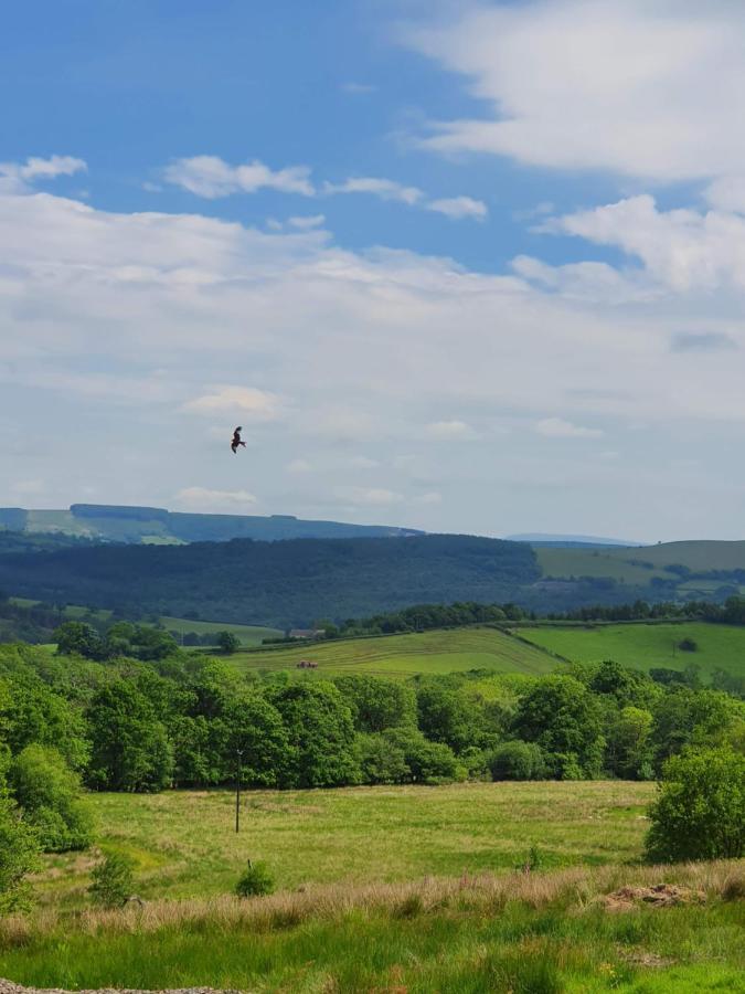 Hotel Calon Y Goedwig Glamping à Llandovery Extérieur photo