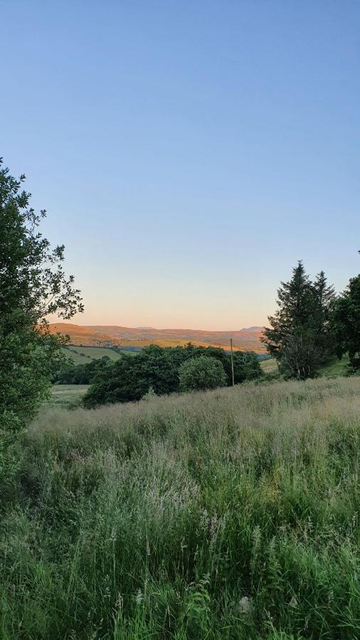 Hotel Calon Y Goedwig Glamping à Llandovery Extérieur photo