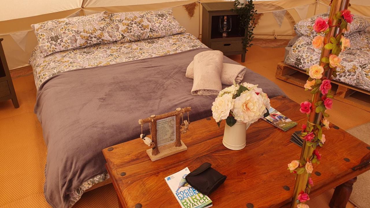 Hotel Calon Y Goedwig Glamping à Llandovery Extérieur photo