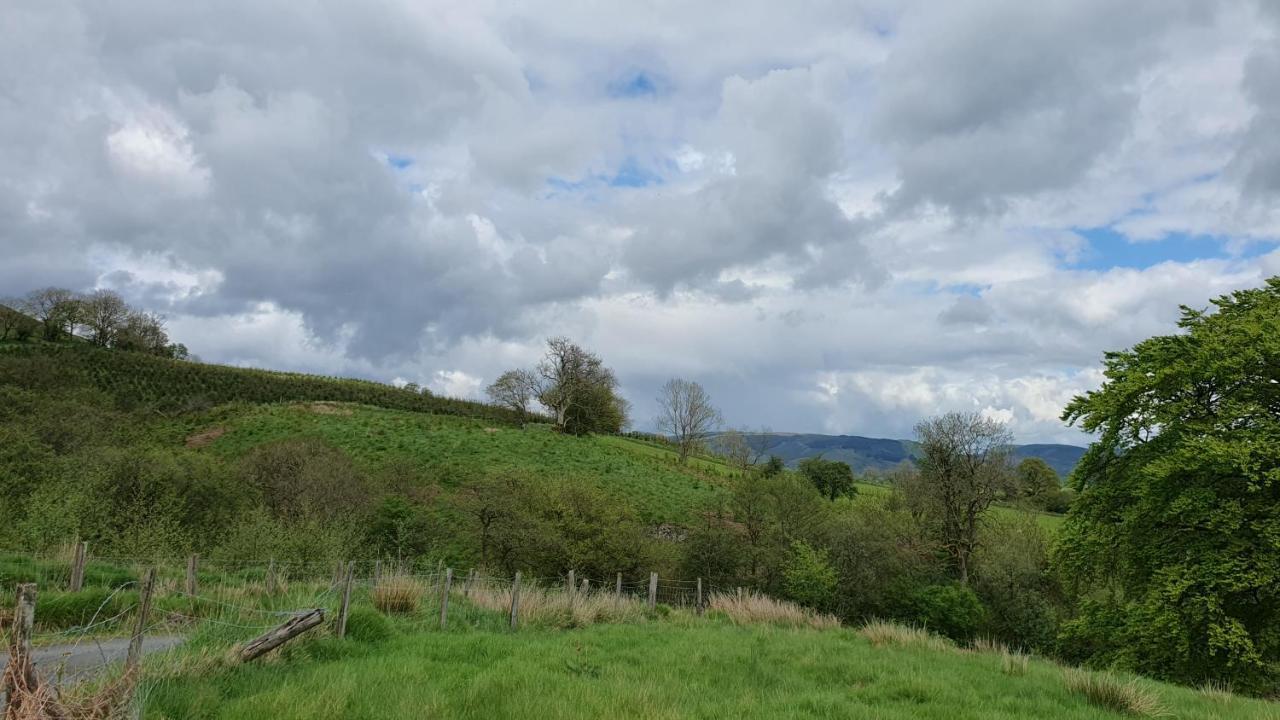 Hotel Calon Y Goedwig Glamping à Llandovery Extérieur photo